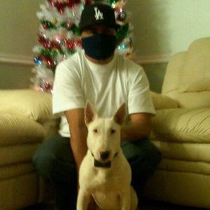 Meet your Posher, Alfredo